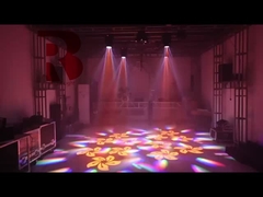 प्रिज्म आरजीबीडब्ल्यू के साथ मिनी मॉडल शो के लिए 6 मधुमक्खी आंखें प्रकाश